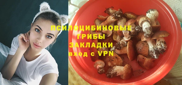 герыч Алзамай