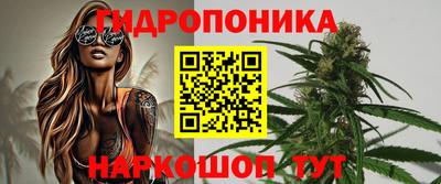 стафф Моздок