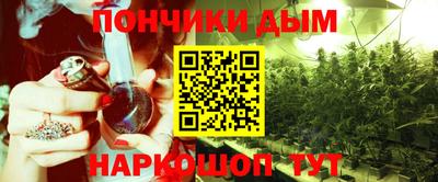 mdpv Можга